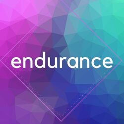 Endurance Sponsor
